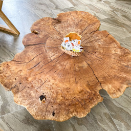 LEX JOURNAL TABLE
